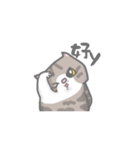COOLMENG（個別スタンプ：16）