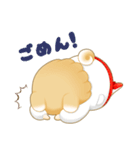 柴犬のしばっこさん（個別スタンプ：5）