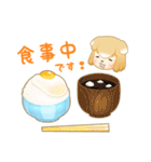 柴犬のしばっこさん（個別スタンプ：10）