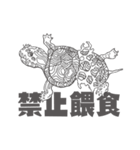 Ecological newspaper of Animation（個別スタンプ：26）
