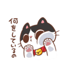 ミルク猫 宝ちゃん♪（個別スタンプ：4）