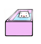 ねこのまつもと（個別スタンプ：28）