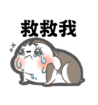 MAY I TALK TO YOU？（個別スタンプ：35）