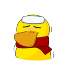 Piko the Yellow Duck（個別スタンプ：31）