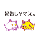 ねこねこカンパニー（個別スタンプ：9）