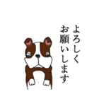 まじめなボストンテリア（個別スタンプ：2）