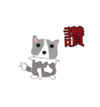 Sweet baby (border collie and rabbit)（個別スタンプ：1）