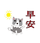 Sweet baby (border collie and rabbit)（個別スタンプ：2）
