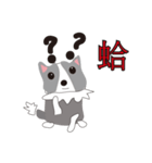 Sweet baby (border collie and rabbit)（個別スタンプ：3）