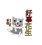 Sweet baby (border collie and rabbit)（個別スタンプ：4）
