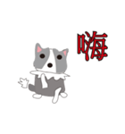Sweet baby (border collie and rabbit)（個別スタンプ：5）