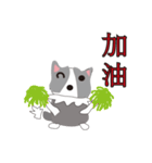 Sweet baby (border collie and rabbit)（個別スタンプ：6）