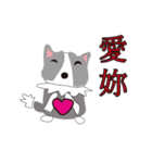 Sweet baby (border collie and rabbit)（個別スタンプ：8）
