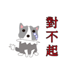 Sweet baby (border collie and rabbit)（個別スタンプ：9）