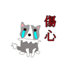 Sweet baby (border collie and rabbit)（個別スタンプ：11）