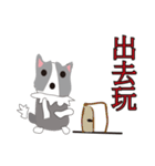 Sweet baby (border collie and rabbit)（個別スタンプ：13）
