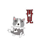 Sweet baby (border collie and rabbit)（個別スタンプ：14）
