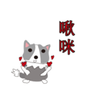 Sweet baby (border collie and rabbit)（個別スタンプ：15）