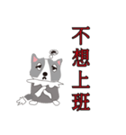 Sweet baby (border collie and rabbit)（個別スタンプ：16）