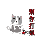 Sweet baby (border collie and rabbit)（個別スタンプ：17）