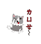 Sweet baby (border collie and rabbit)（個別スタンプ：18）