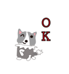 Sweet baby (border collie and rabbit)（個別スタンプ：21）