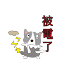 Sweet baby (border collie and rabbit)（個別スタンプ：22）