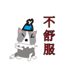 Sweet baby (border collie and rabbit)（個別スタンプ：24）