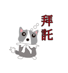 Sweet baby (border collie and rabbit)（個別スタンプ：25）