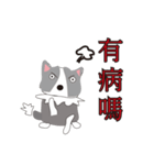 Sweet baby (border collie and rabbit)（個別スタンプ：27）