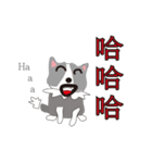 Sweet baby (border collie and rabbit)（個別スタンプ：29）