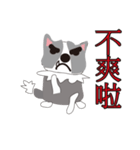 Sweet baby (border collie and rabbit)（個別スタンプ：30）