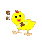 Novice chicken（個別スタンプ：11）