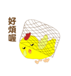 Novice chicken（個別スタンプ：16）