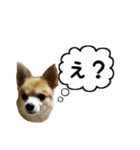 sakie fam stamp（個別スタンプ：4）