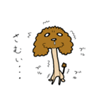 トイプー びすけくん その1（個別スタンプ：7）