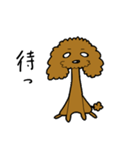 トイプー びすけくん その1（個別スタンプ：8）