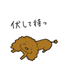トイプー びすけくん その1（個別スタンプ：12）