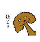 トイプー びすけくん その1（個別スタンプ：15）