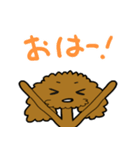 トイプー びすけくん その1（個別スタンプ：25）