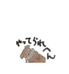 イヌ一号（個別スタンプ：7）