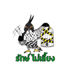 Raptors of Thailand（個別スタンプ：1）