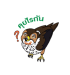 Raptors of Thailand（個別スタンプ：3）