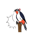 Raptors of Thailand（個別スタンプ：8）