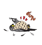 Raptors of Thailand（個別スタンプ：10）