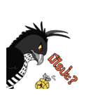Raptors of Thailand（個別スタンプ：12）
