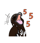 Raptors of Thailand（個別スタンプ：13）