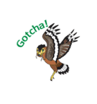 Raptors of Thailand（個別スタンプ：18）