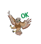 Raptors of Thailand（個別スタンプ：22）