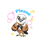 Raptors of Thailand（個別スタンプ：24）